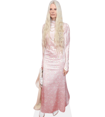 Kristen McMenamy (Pink Dress) Pappaufsteller