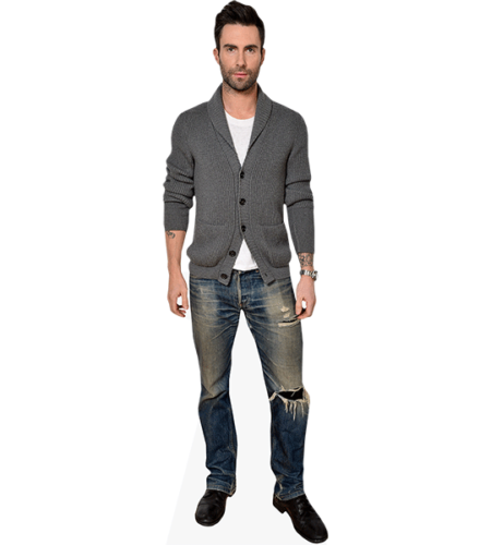 Adam Levine (Jeans)