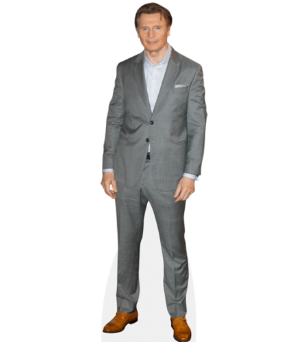 Liam Neeson (Grey Suit) Pappaufsteller
