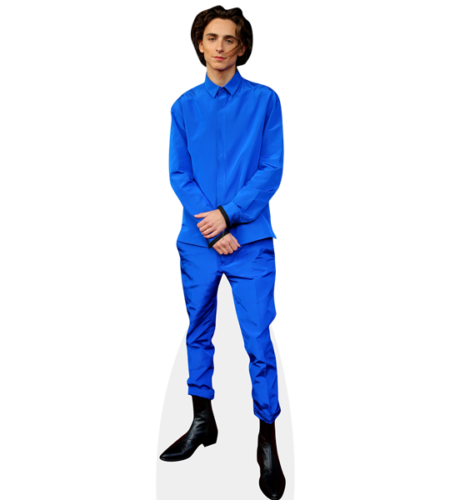 Timothée Chalamet (Blue Suit) Pappaufsteller