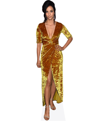 Talayeh Ashrafi (Gold Dress)