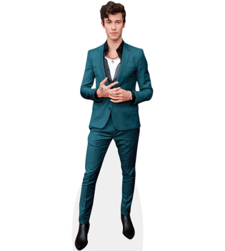 Shawn Mendes (Teal Suit)