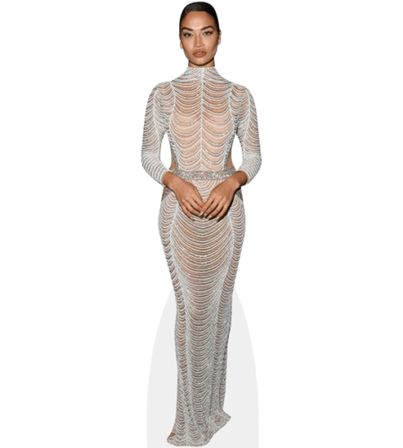 Shanina Shaik (Silver Dress)