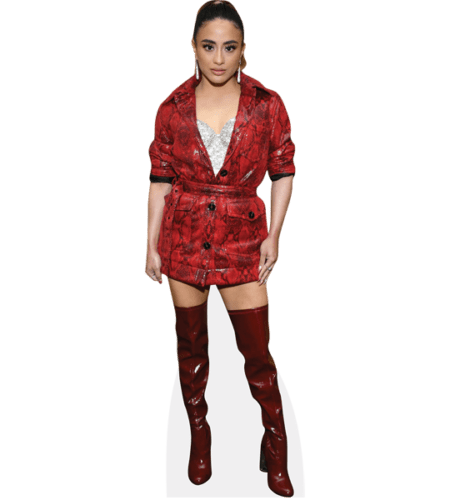 Ally Brooke (Red)