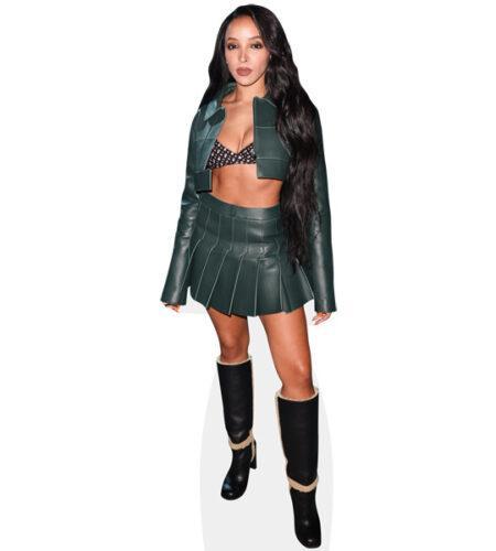 Tinashe (Skirt) Pappaufsteller