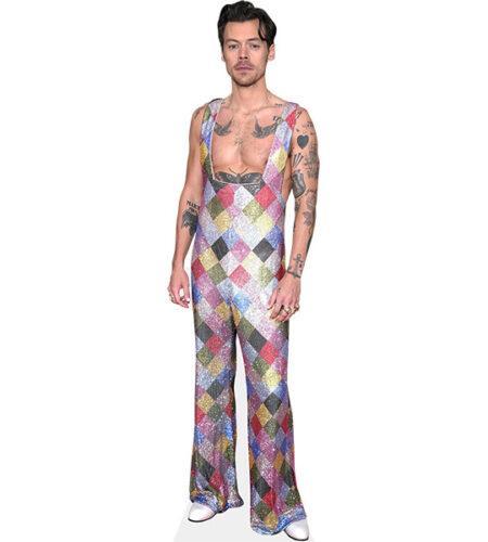 Harry Styles (Colourful) Pappaufsteller