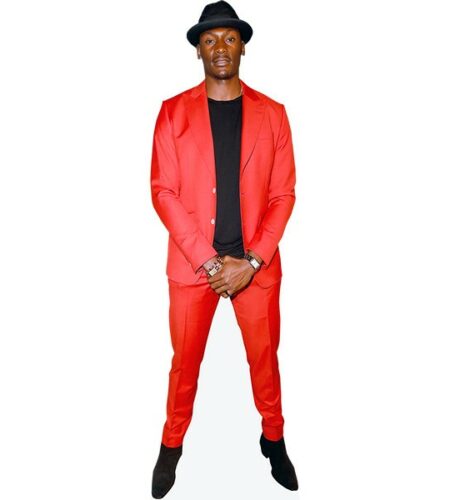 Bismack Biyombo (Red Outfit) Pappaufsteller
