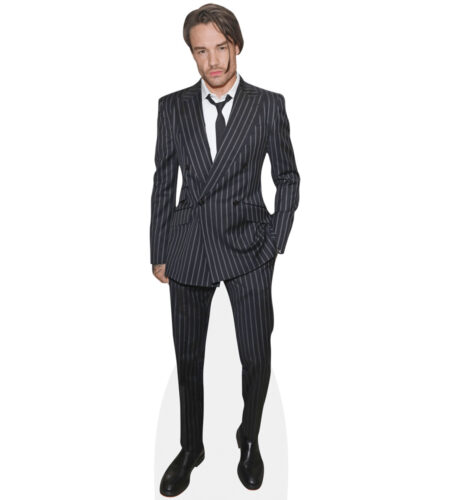 Liam Payne (Striped Suit) Pappaufsteller
