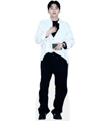 Woo Ji-Ho (White Shirt) Pappaufsteller